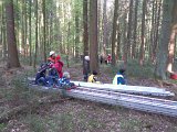 Maibaum_2016 (39).JPG
